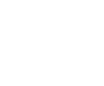 Ancient Synapse Minerals